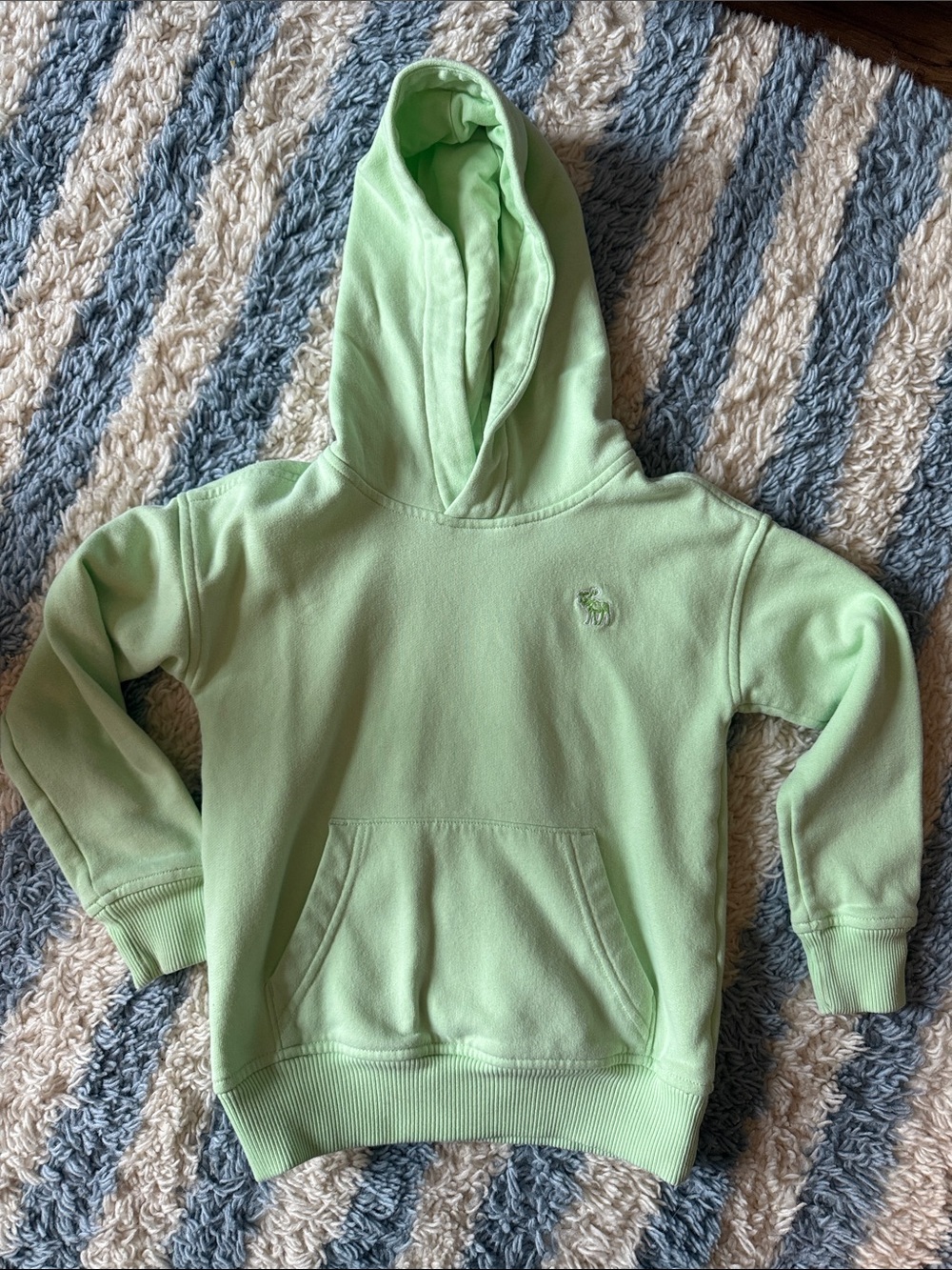 Abercrombie kids Hooded Pullover Sweatshirt